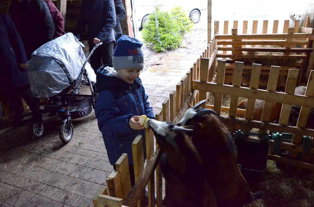 Żywa szopka w Mirachowie i tradycyjne szopki w kościołach