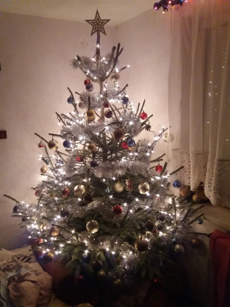 Tworzymy galerię choinek. Pochwal się swoim świątecznym drzewkiem!