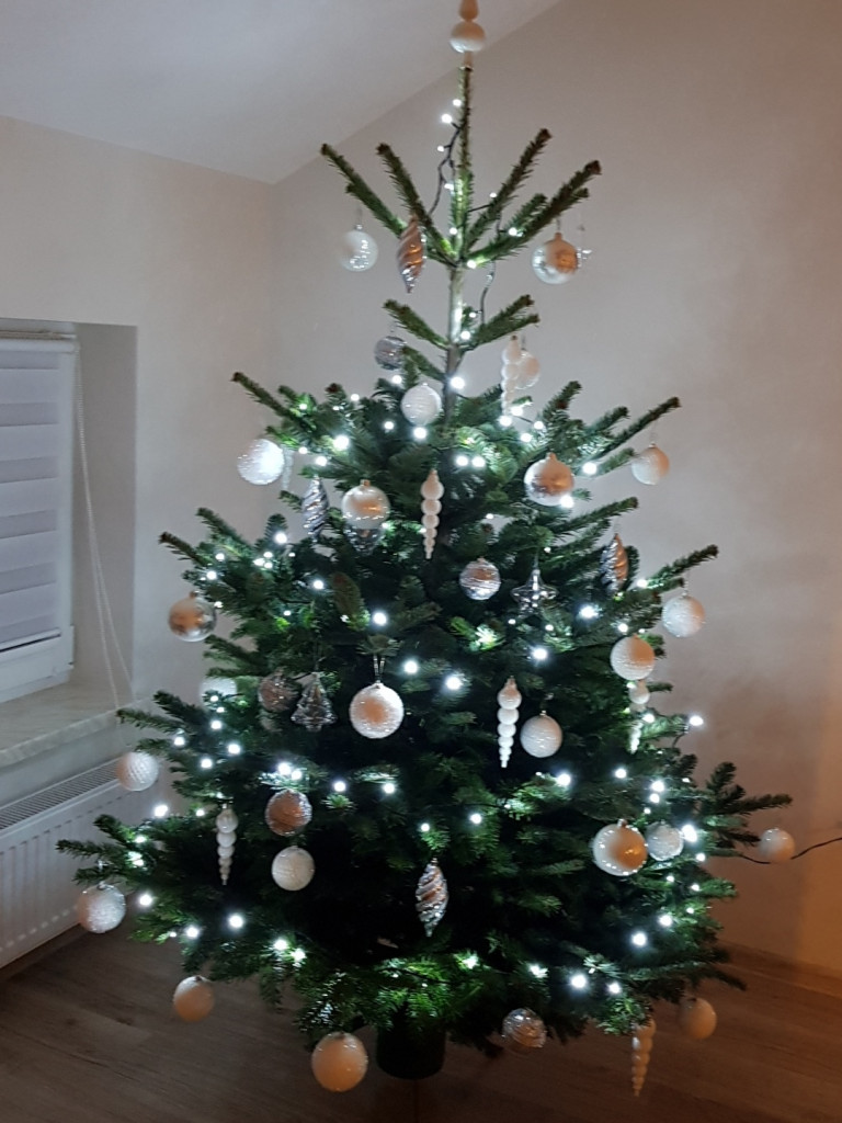 Tworzymy galerię choinek. Pochwal się swoim świątecznym drzewkiem!