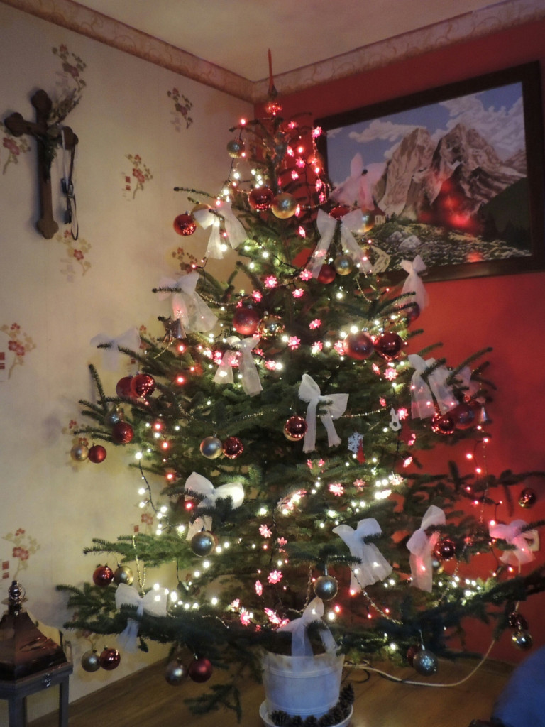 Tworzymy galerię choinek. Pochwal się swoim świątecznym drzewkiem!