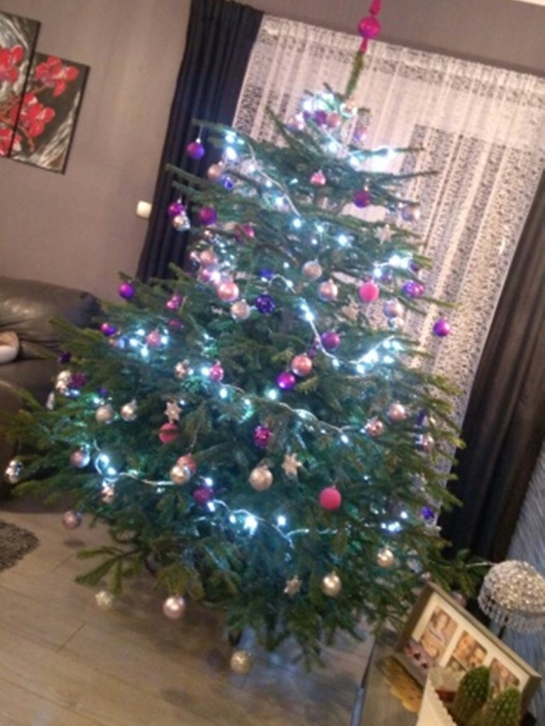 Tworzymy galerię choinek. Pochwal się swoim świątecznym drzewkiem!