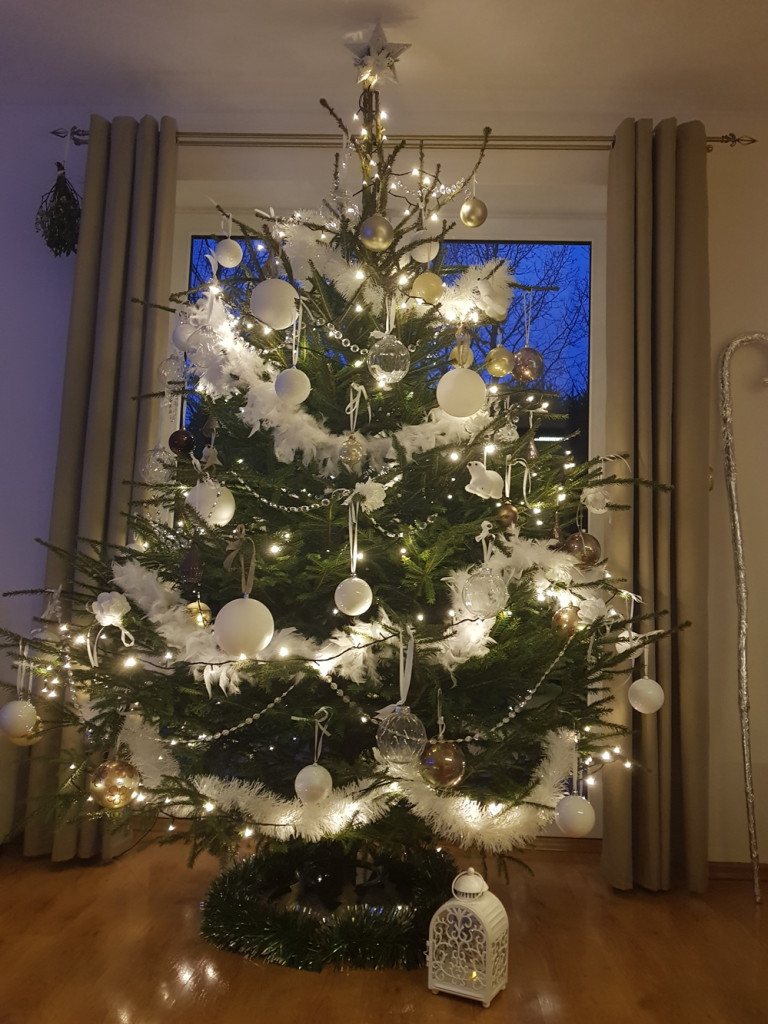 Tworzymy galerię choinek. Pochwal się swoim świątecznym drzewkiem!