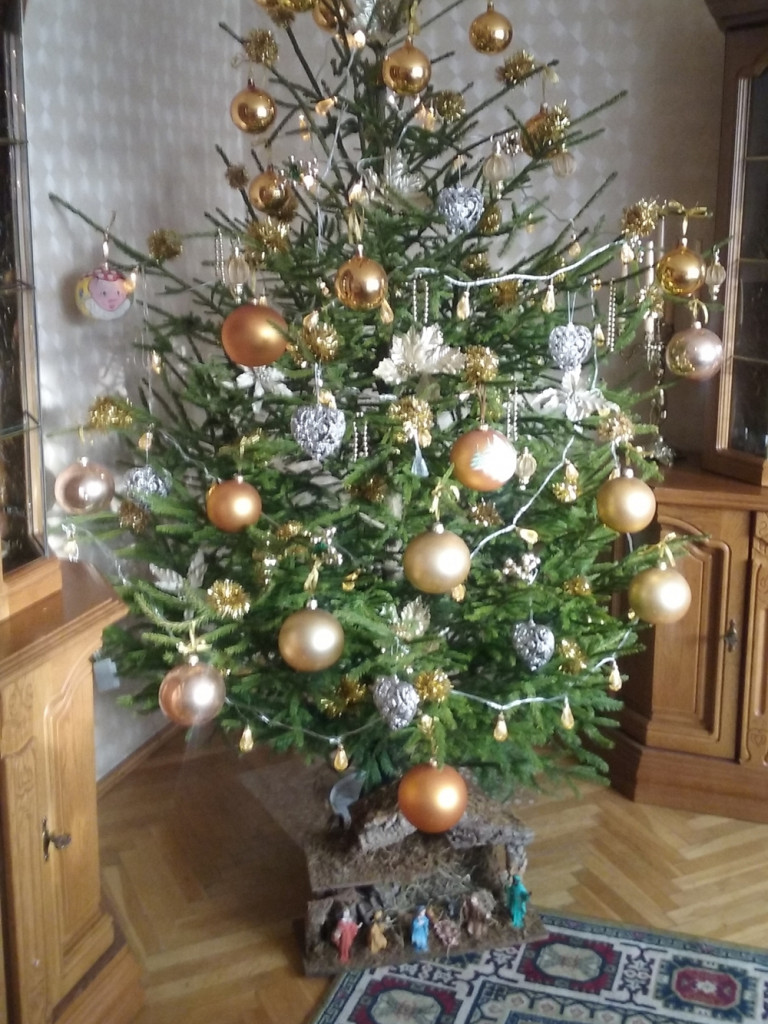 Tworzymy galerię choinek. Pochwal się swoim świątecznym drzewkiem!