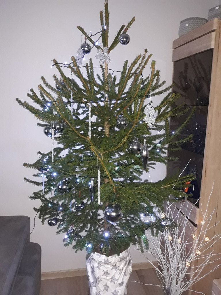 Tworzymy galerię choinek. Pochwal się swoim świątecznym drzewkiem!