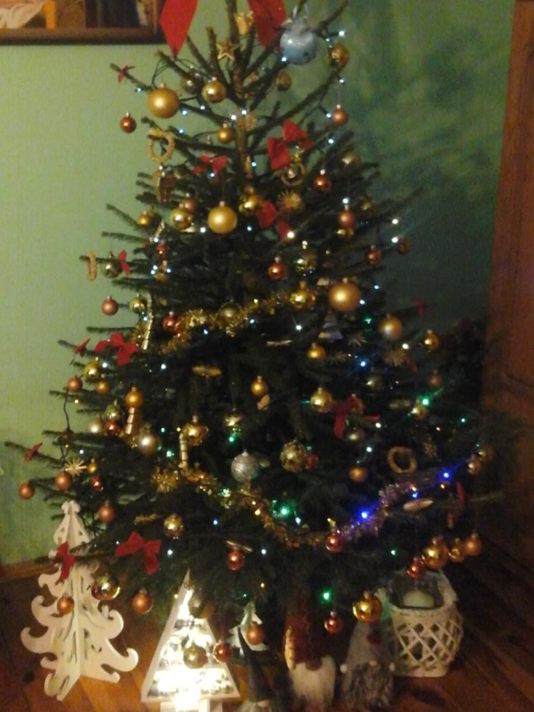 Tworzymy galerię choinek. Pochwal się swoim świątecznym drzewkiem!