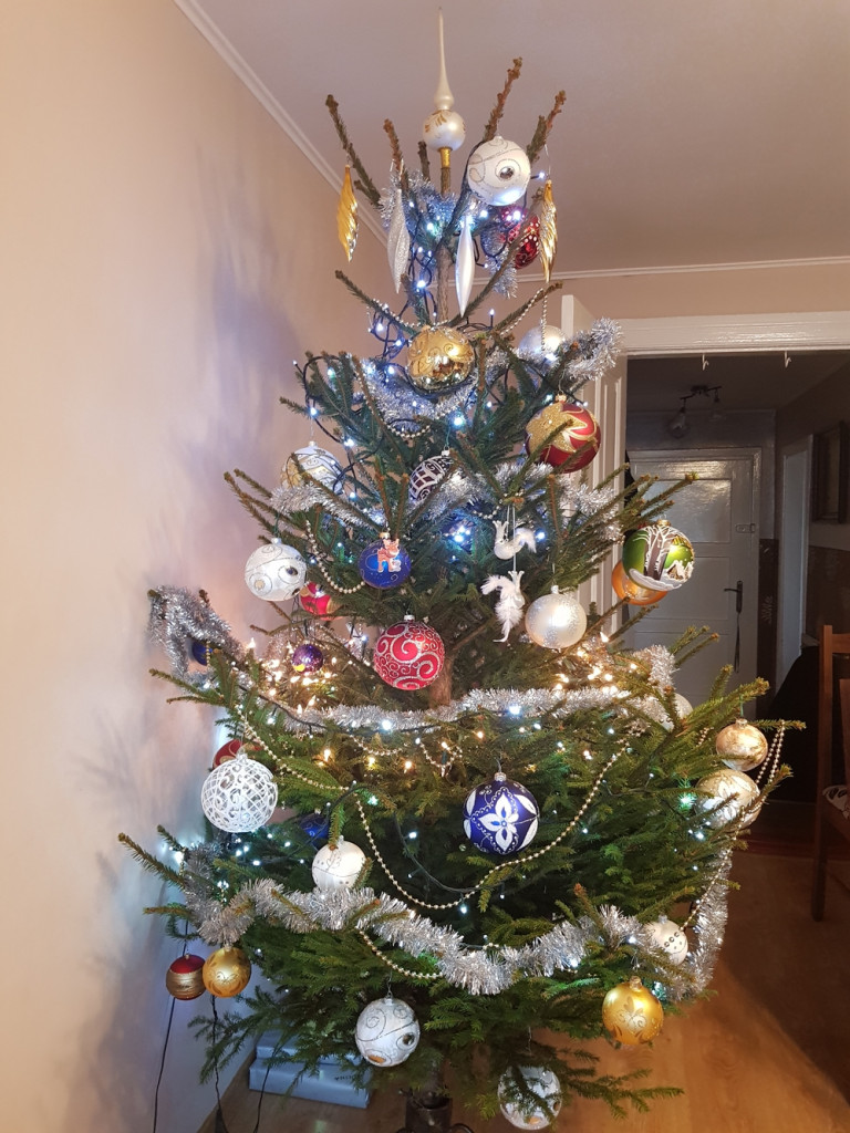 Tworzymy galerię choinek. Pochwal się swoim świątecznym drzewkiem!