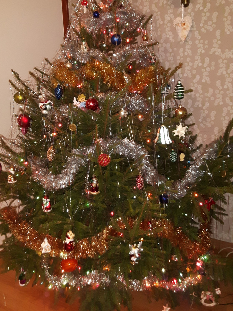 Tworzymy galerię choinek. Pochwal się swoim świątecznym drzewkiem!