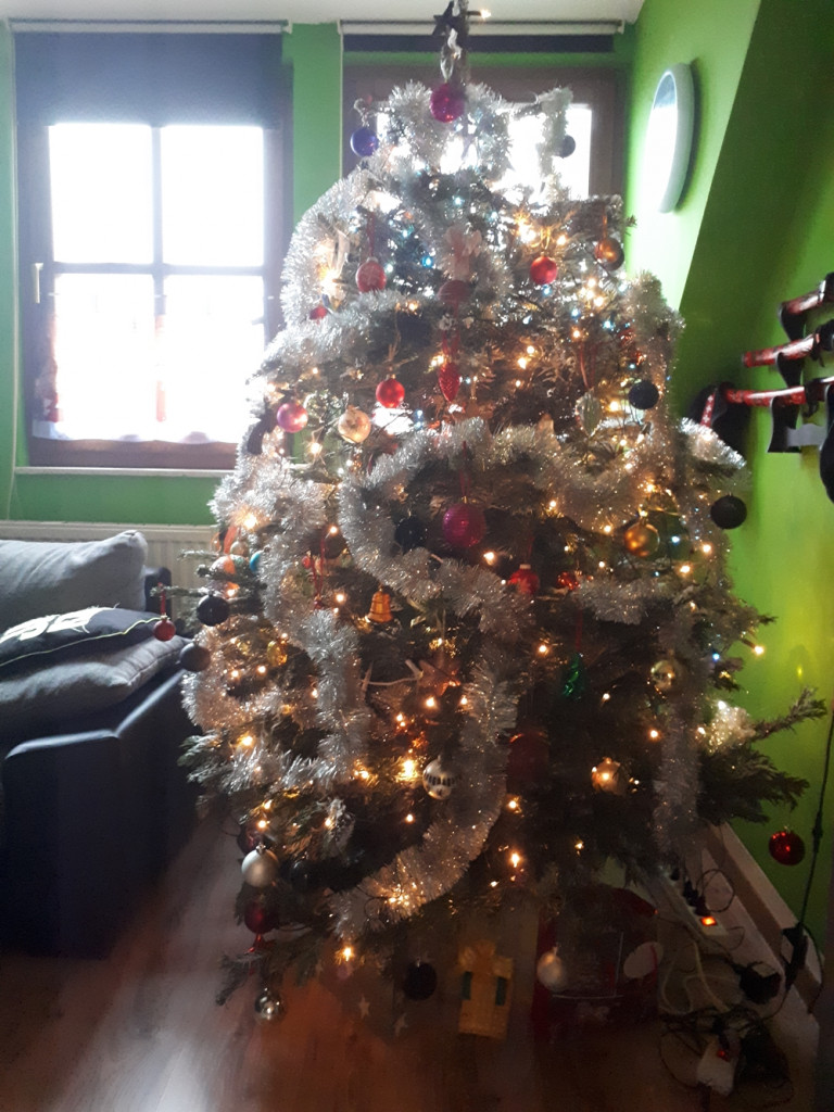 Tworzymy galerię choinek. Pochwal się swoim świątecznym drzewkiem!