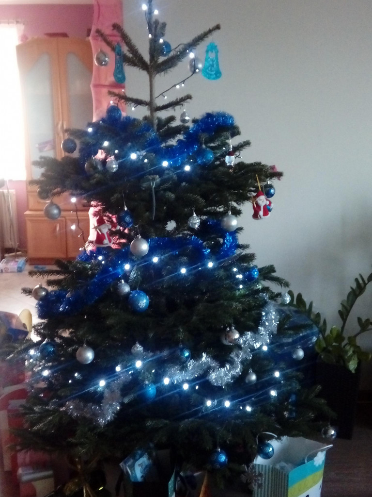 Tworzymy galerię choinek. Pochwal się swoim świątecznym drzewkiem!