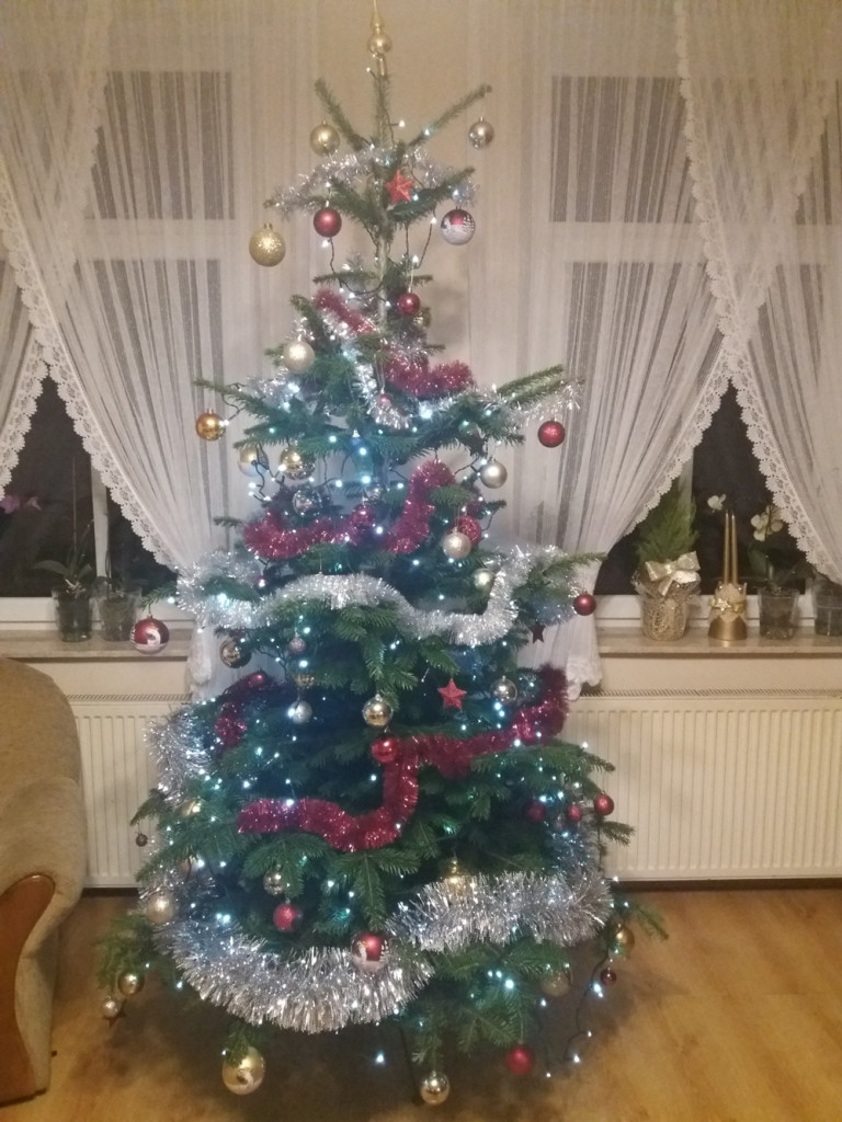 Tworzymy galerię choinek. Pochwal się swoim świątecznym drzewkiem!