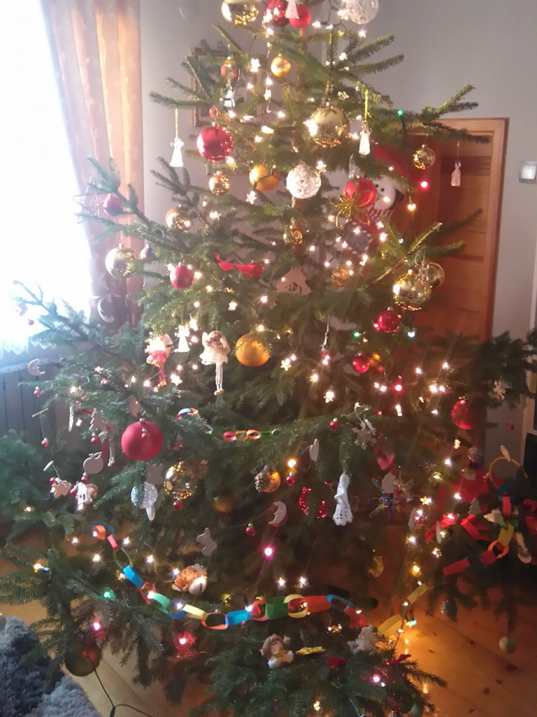 Tworzymy galerię choinek. Pochwal się swoim świątecznym drzewkiem!