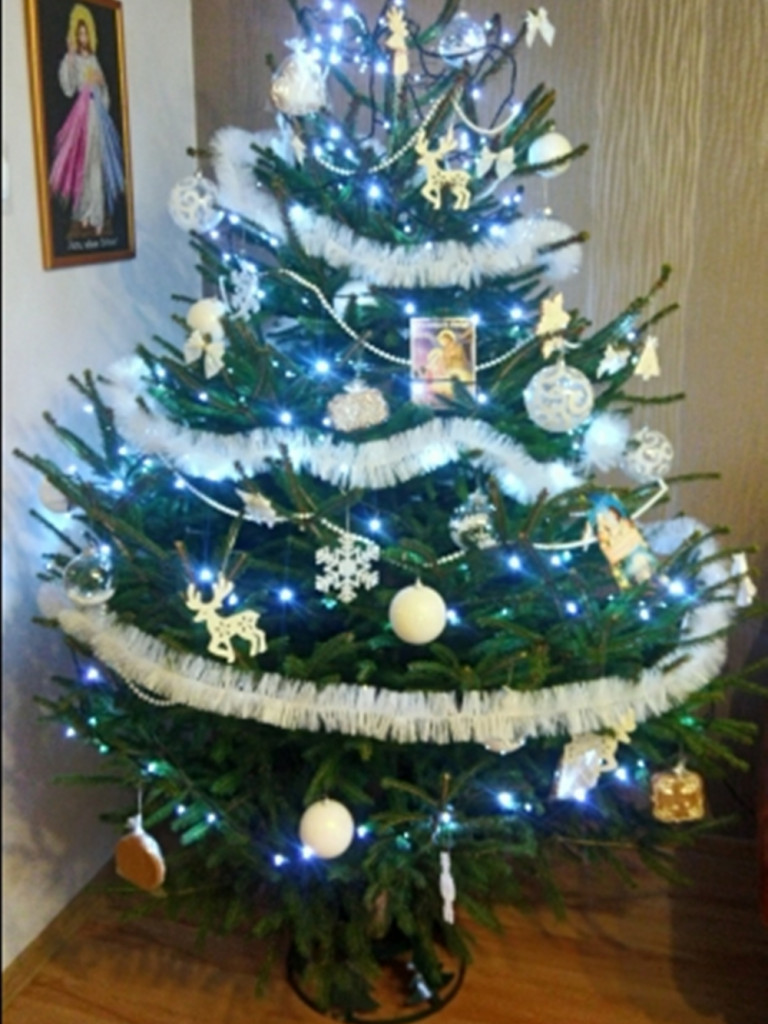 Tworzymy galerię choinek. Pochwal się swoim świątecznym drzewkiem!