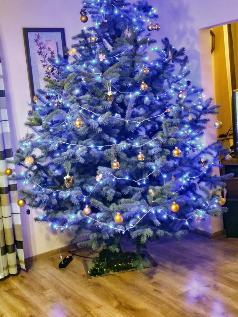 Tworzymy galerię choinek. Pochwal się swoim świątecznym drzewkiem!