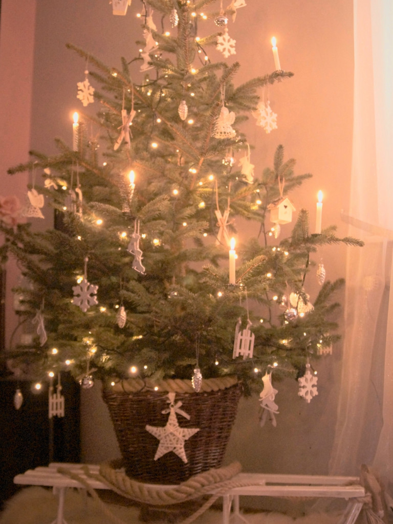 Tworzymy galerię choinek. Pochwal się swoim świątecznym drzewkiem!