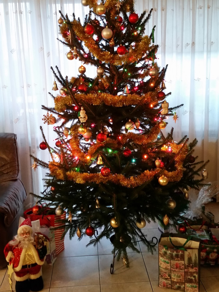 Tworzymy galerię choinek. Pochwal się swoim świątecznym drzewkiem!