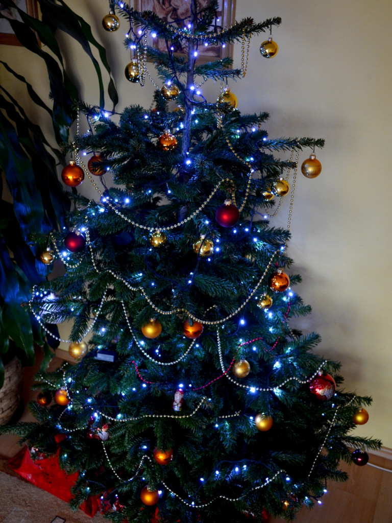 Tworzymy galerię choinek. Pochwal się swoim świątecznym drzewkiem!