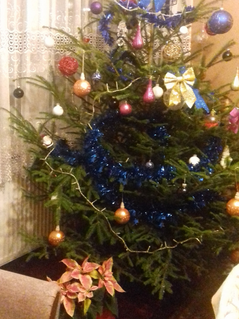 Tworzymy galerię choinek. Pochwal się swoim świątecznym drzewkiem!