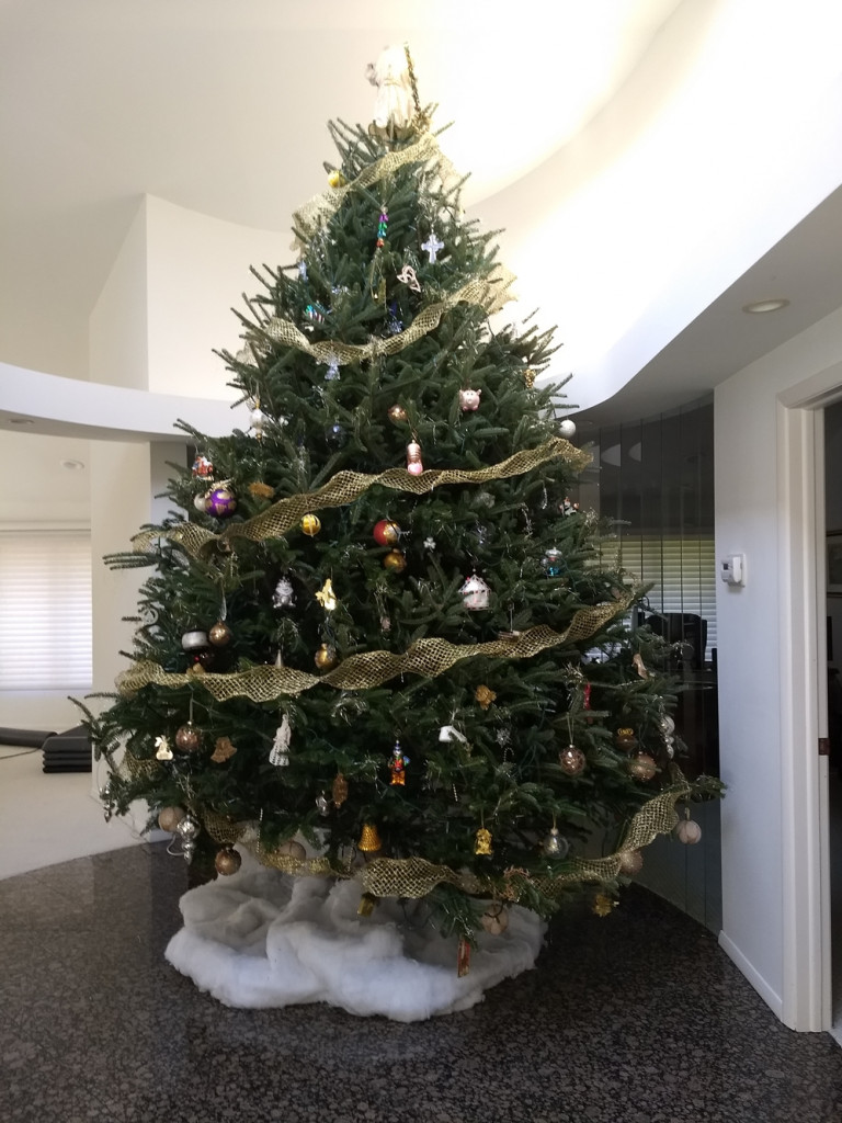 Tworzymy galerię choinek. Pochwal się swoim świątecznym drzewkiem!