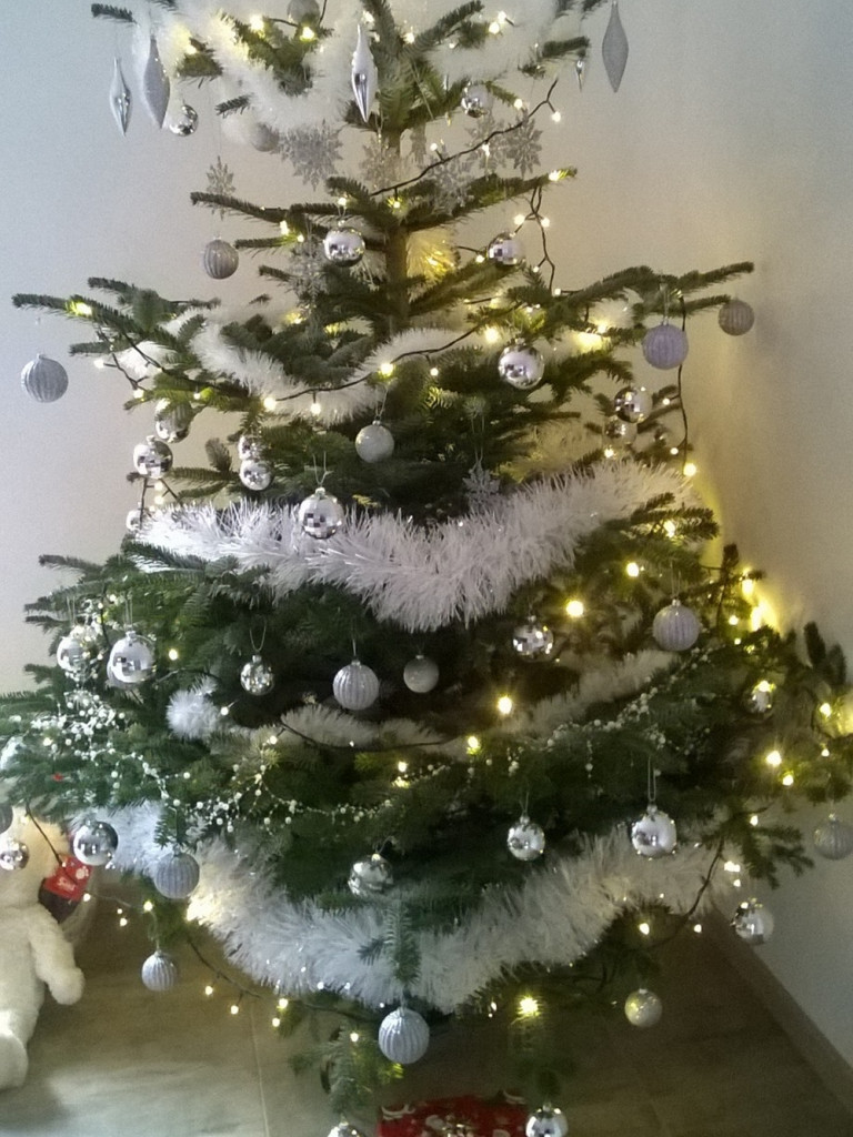 Tworzymy galerię choinek. Pochwal się swoim świątecznym drzewkiem!