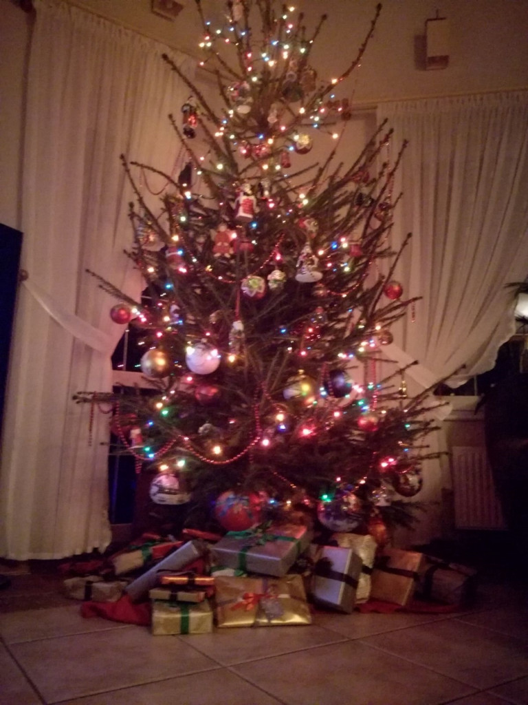 Tworzymy galerię choinek. Pochwal się swoim świątecznym drzewkiem!