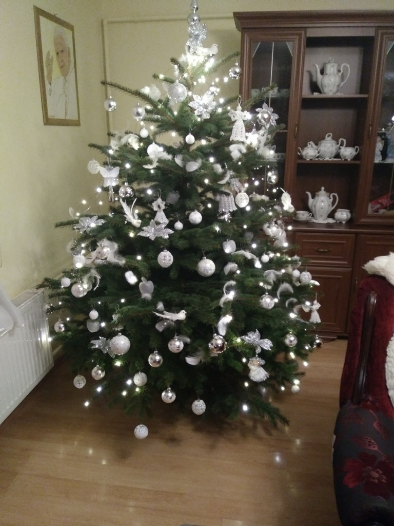 Tworzymy galerię choinek. Pochwal się swoim świątecznym drzewkiem!