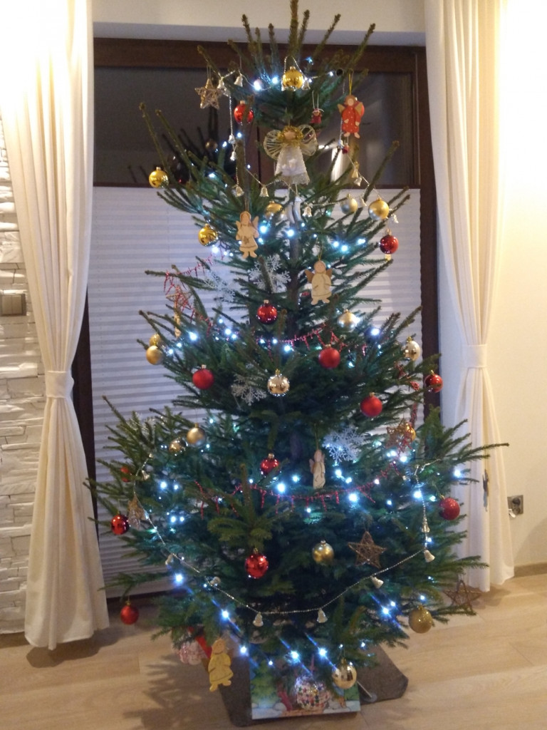 Tworzymy galerię choinek. Pochwal się swoim świątecznym drzewkiem!