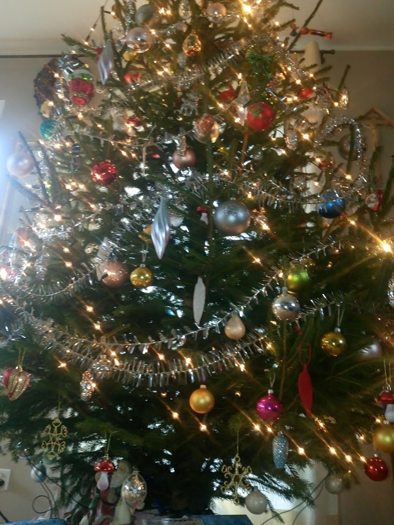 Tworzymy galerię choinek. Pochwal się swoim świątecznym drzewkiem!