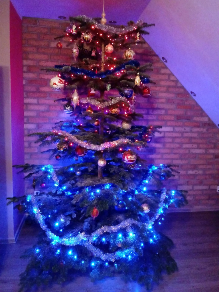 Tworzymy galerię choinek. Pochwal się swoim świątecznym drzewkiem!