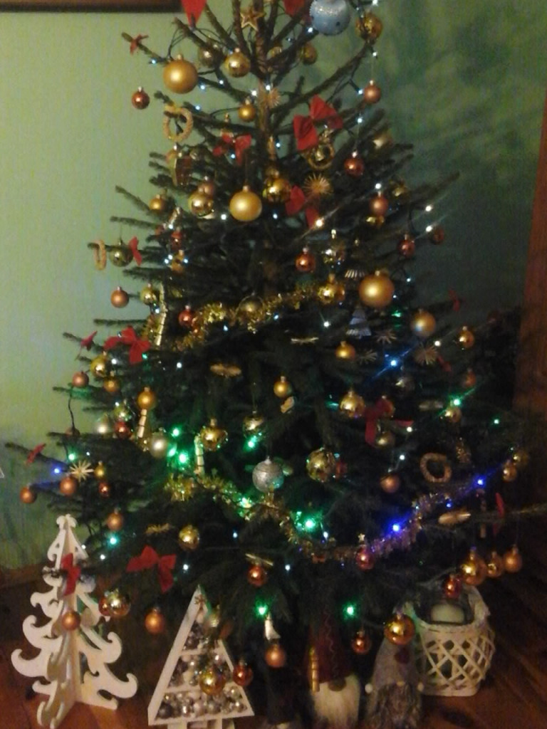 Tworzymy galerię choinek. Pochwal się swoim świątecznym drzewkiem!