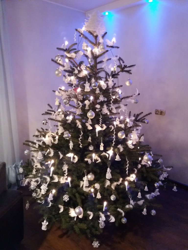 Tworzymy galerię choinek. Pochwal się swoim świątecznym drzewkiem!