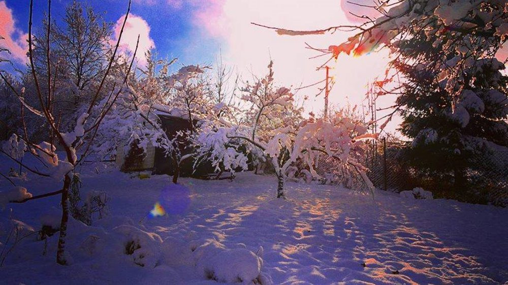Pokaż swój zimowy ogród - konkurs firmy PREMIUM