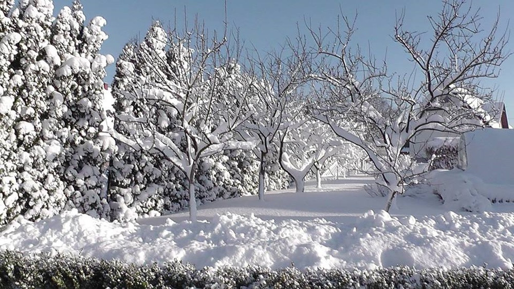 Pokaż swój zimowy ogród - konkurs firmy PREMIUM