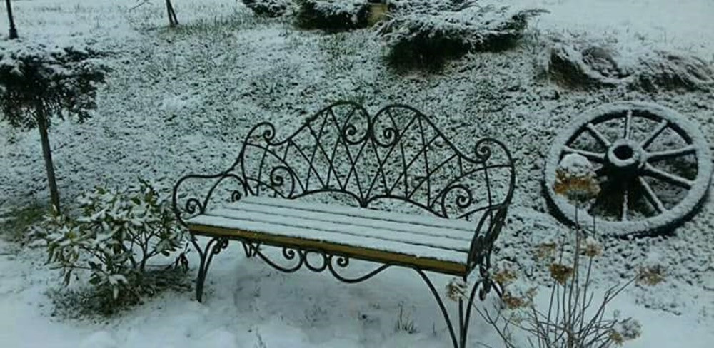 Pokaż swój zimowy ogród - konkurs firmy PREMIUM