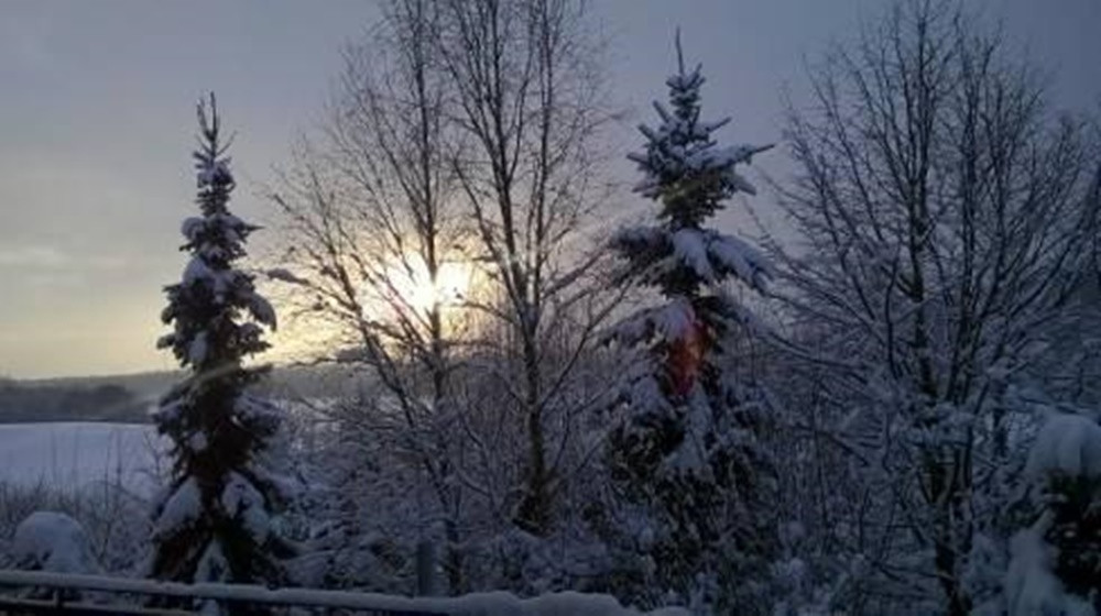 Pokaż swój zimowy ogród - konkurs firmy PREMIUM