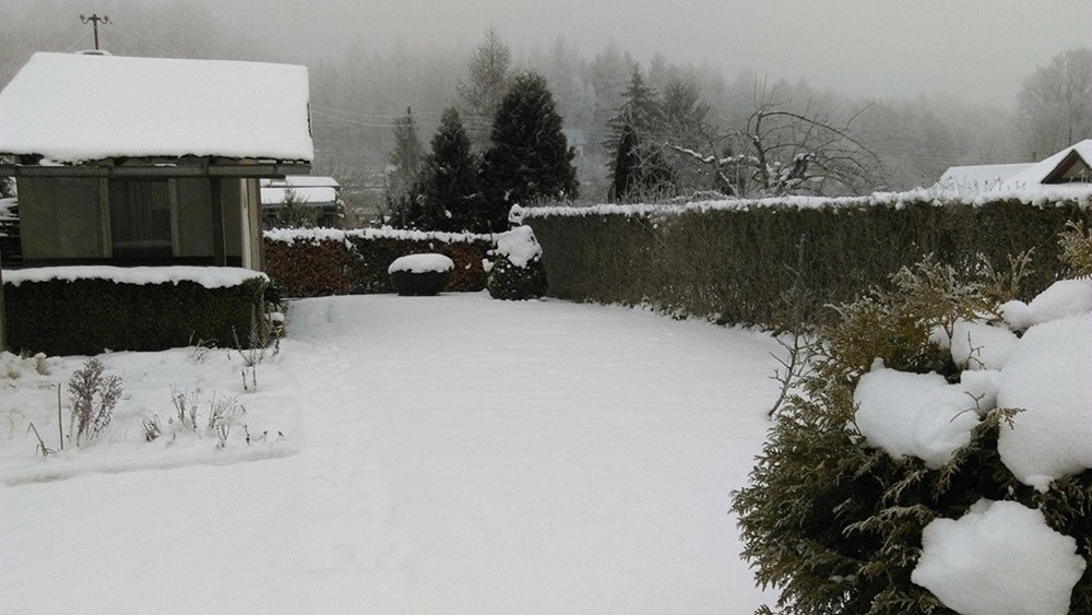 Pokaż swój zimowy ogród - konkurs firmy PREMIUM