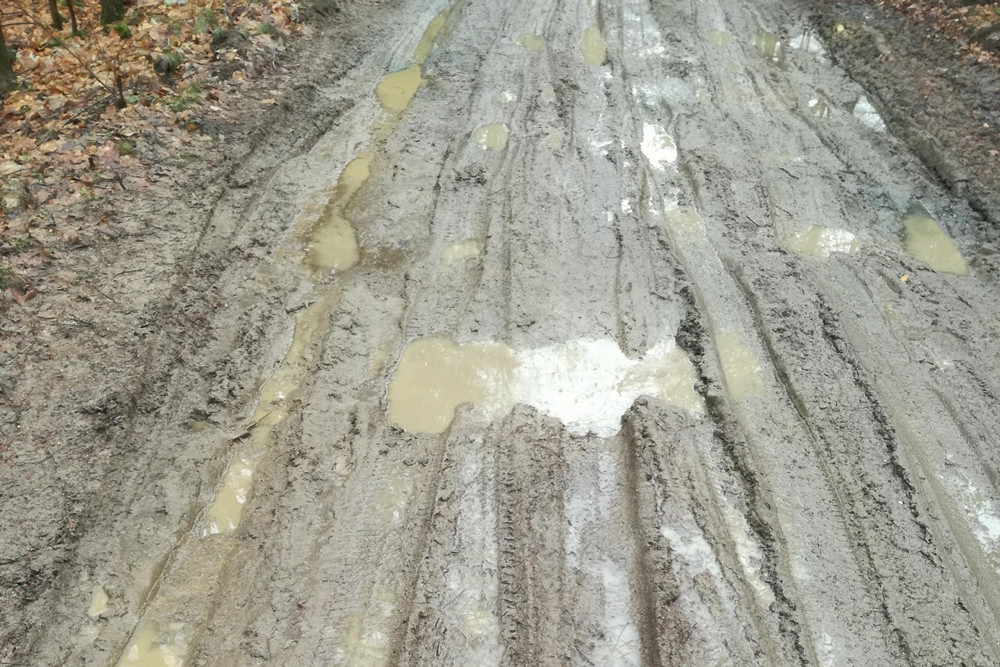 Mieszkańcy wsi Rybaki mają problem z nieprzejezdną drogą po roztopach