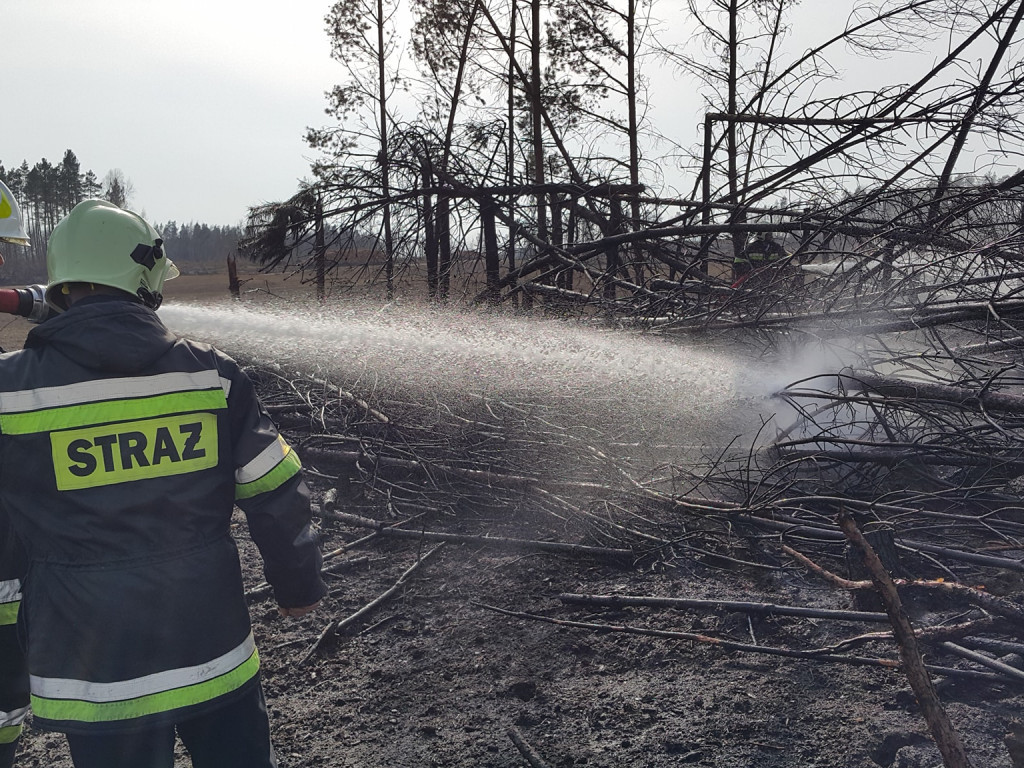 Sulęczyno. Płonął fragment lasu zniszczonego w sierpniowej nawałnicy