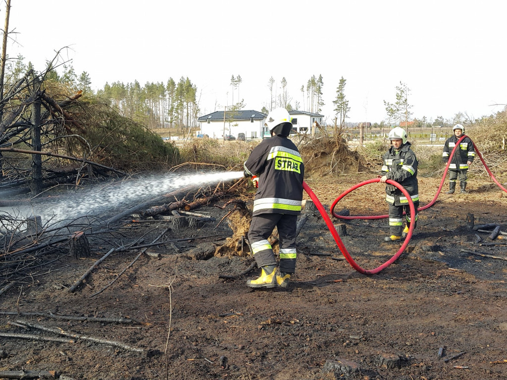 Sulęczyno. Płonął fragment lasu zniszczonego w sierpniowej nawałnicy