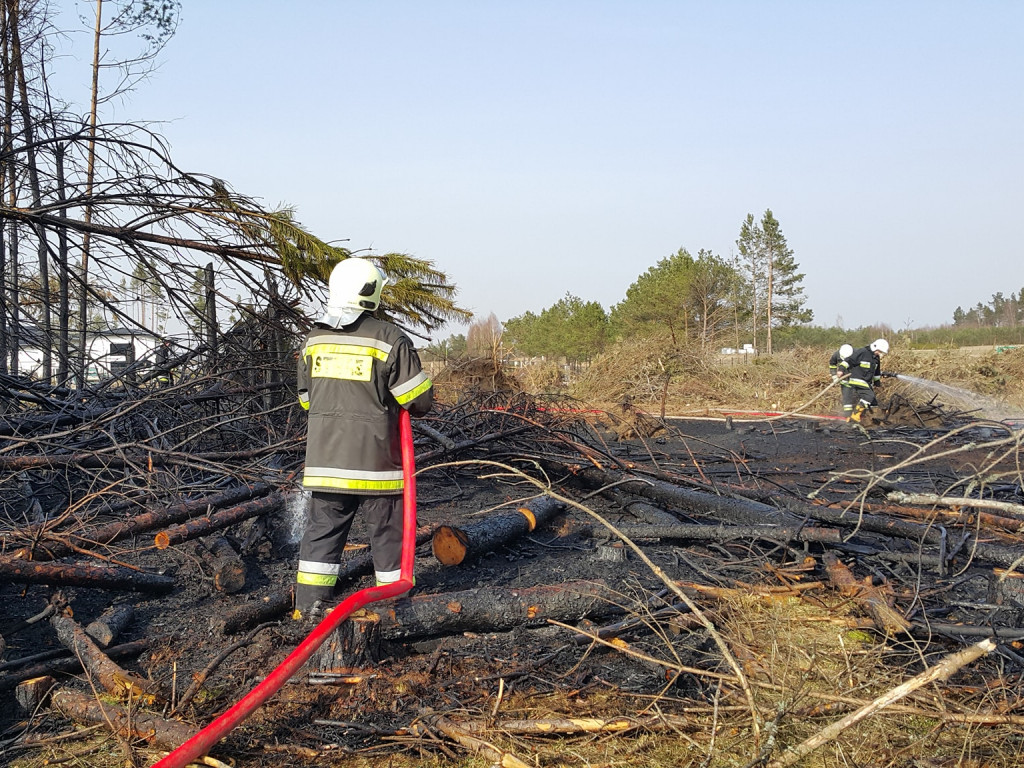 Sulęczyno. Płonął fragment lasu zniszczonego w sierpniowej nawałnicy