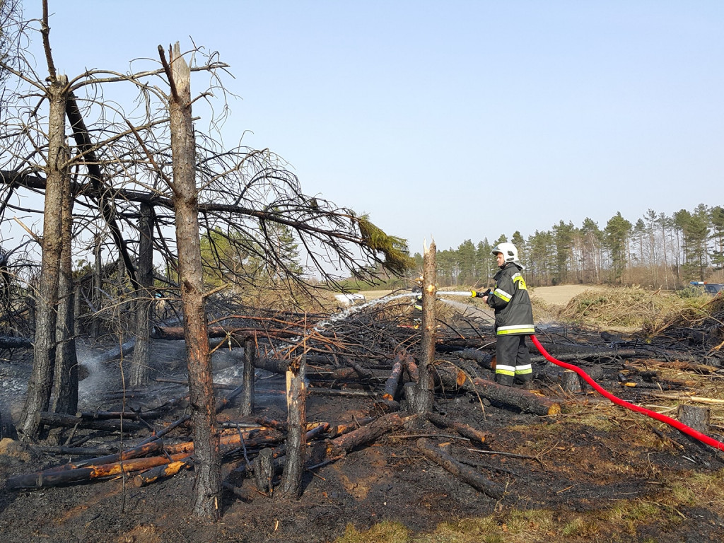 Sulęczyno. Płonął fragment lasu zniszczonego w sierpniowej nawałnicy