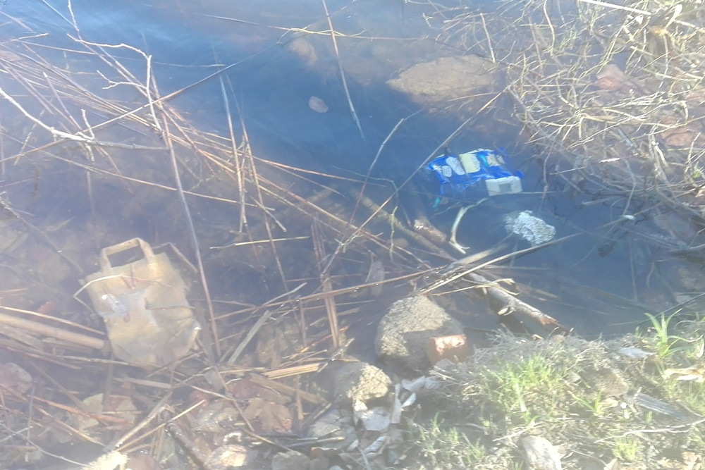 List. Jak mówić serio o oczyszczaniu jezior, skoro dla niektórych Jez. Klasztorne to śmietnik?