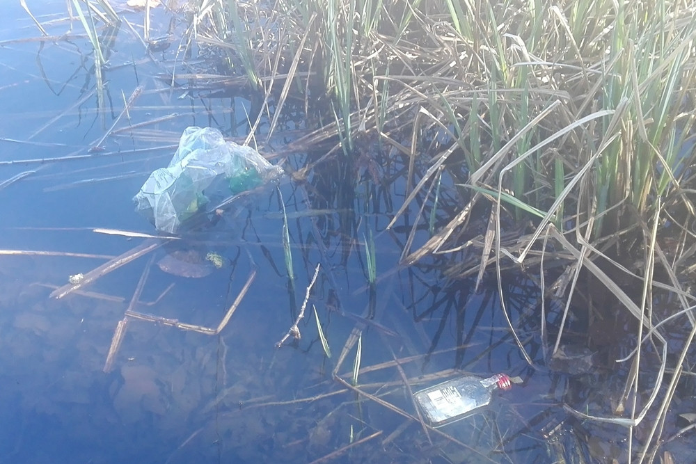 List. Jak mówić serio o oczyszczaniu jezior, skoro dla niektórych Jez. Klasztorne to śmietnik?