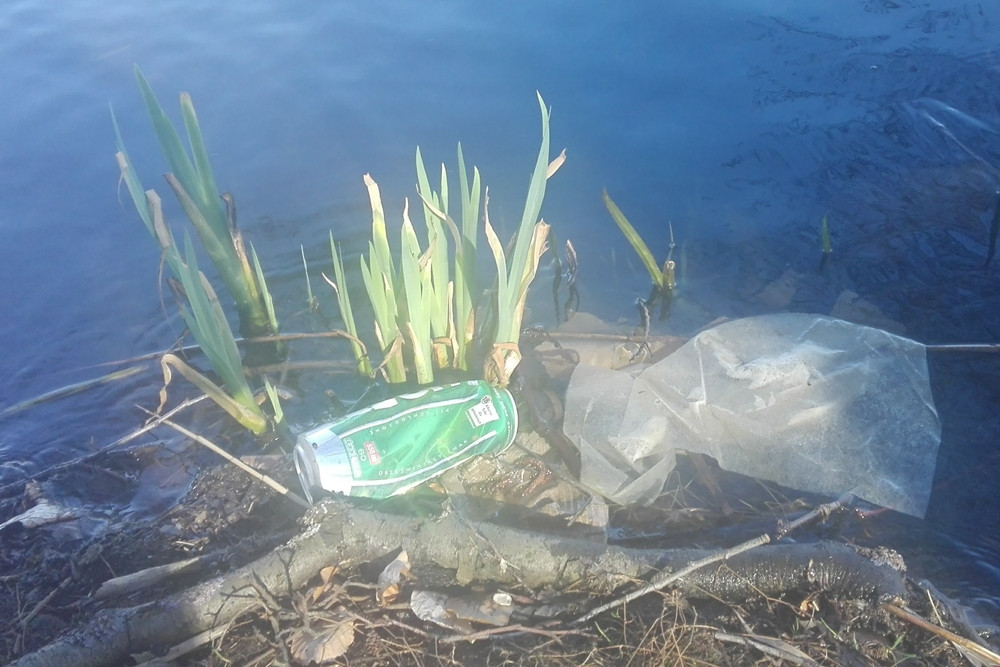 List. Jak mówić serio o oczyszczaniu jezior, skoro dla niektórych Jez. Klasztorne to śmietnik?