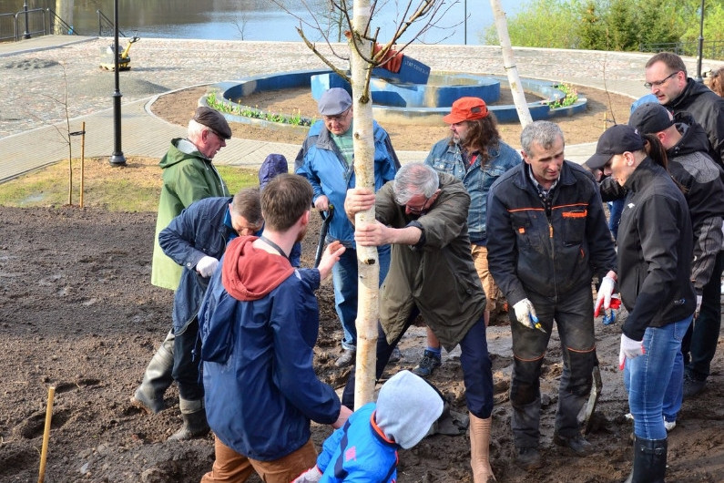 Kartuzy. Mieszkańcy wspólnie posadzili drzewa przy kolegiacie. Wkrótce powstanie tam park