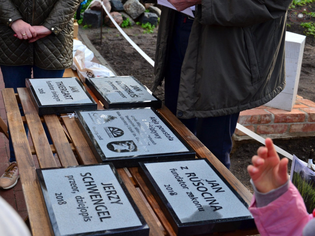 Kartuzy. Mieszkańcy wspólnie posadzili drzewa przy kolegiacie. Wkrótce powstanie tam park