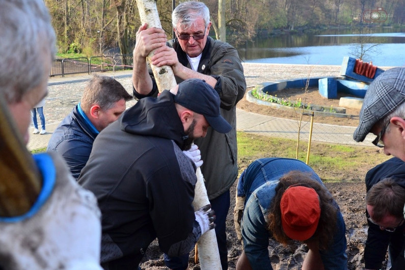 Kartuzy. Mieszkańcy wspólnie posadzili drzewa przy kolegiacie. Wkrótce powstanie tam park