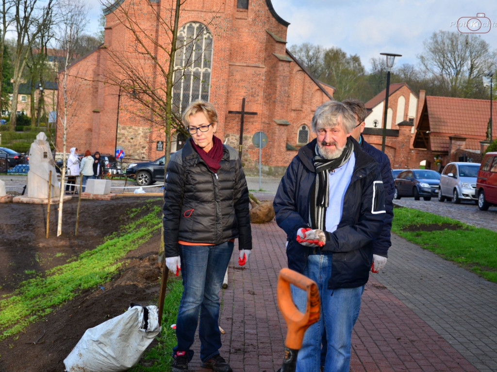 Kartuzy. Mieszkańcy wspólnie posadzili drzewa przy kolegiacie. Wkrótce powstanie tam park