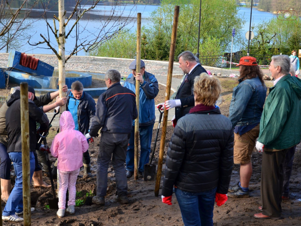 Kartuzy. Mieszkańcy wspólnie posadzili drzewa przy kolegiacie. Wkrótce powstanie tam park