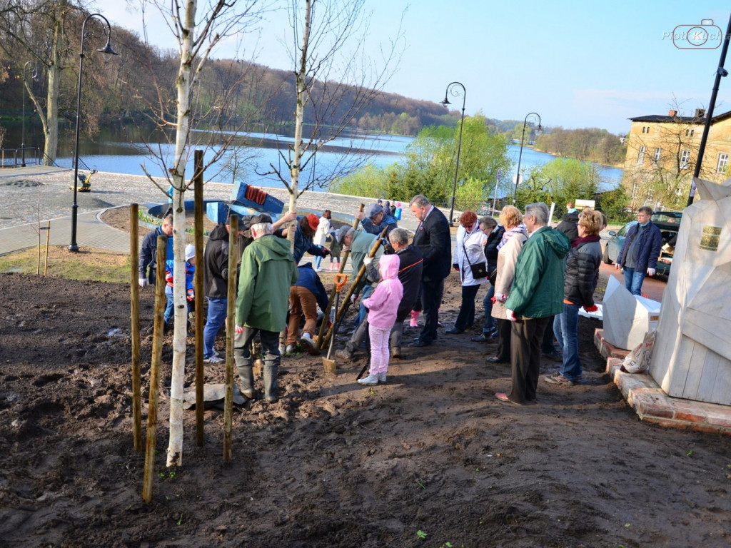 Kartuzy. Mieszkańcy wspólnie posadzili drzewa przy kolegiacie. Wkrótce powstanie tam park