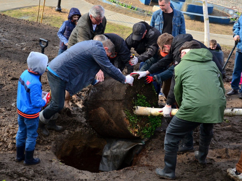 Kartuzy. Mieszkańcy wspólnie posadzili drzewa przy kolegiacie. Wkrótce powstanie tam park
